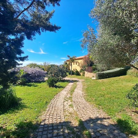 Rez De Jardin Villa Presqu'Ile De Giens Hyères Exterior foto