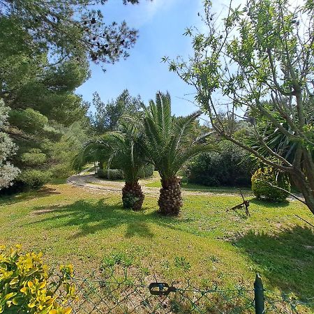 Rez De Jardin Villa Presqu'Ile De Giens Hyères Exterior foto