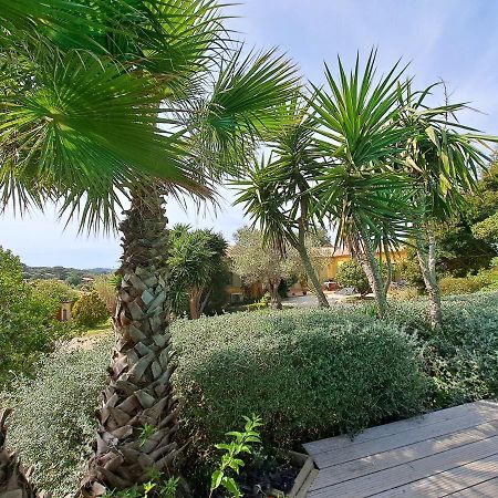 Rez De Jardin Villa Presqu'Ile De Giens Hyères Exterior foto