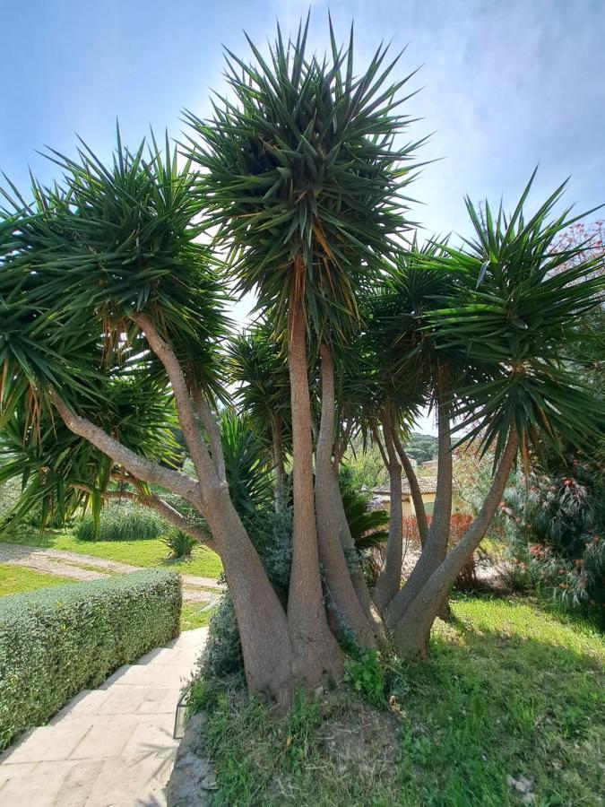 Rez De Jardin Villa Presqu'Ile De Giens Hyères Exterior foto